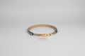 Riem met gouden haaksluiting Cavaleiro